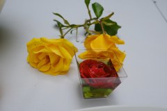DSCF3493