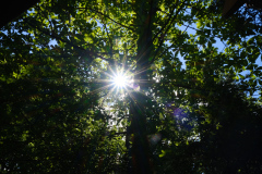 DSCF1138