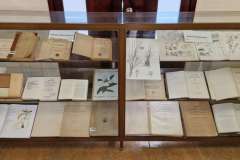 Wystawa-prac-naukowych-prof.-J.-Rottera-Rzedowskiego-w-Instytucie-Ekologii-w-Patzcuaro