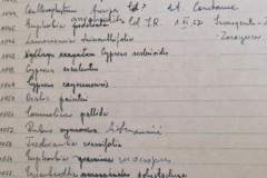 Zapiski-prof.-J.-Rottera-Rzedowskiego-z-prac-terenowych-w-1952-r