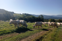 IMG_20250921_0953551