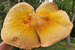 3063b2ea-e034-48ff-b2a6-7683dac12ecc