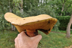 6b579923-421f-4ffd-adb0-109b6b600d71