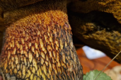 9d59e1d6-b8fd-4782-8b97-298b5faf4b76