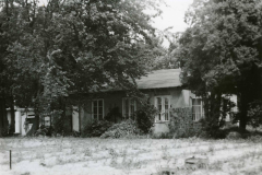 001.-Pokerowek-w-1976-roku