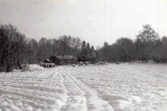 003.-Pierwszy-teren-nalezacy-do-Ogrodu-Botanicznego-1977-rok