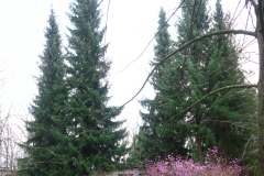 008.-Czas-pokryl-patyna-Nowy-Pokerowek_2024-rok