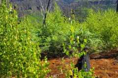 PHOTO-2025-07-06-14-02-11