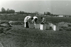 1978-work-study-in-collection-zboz