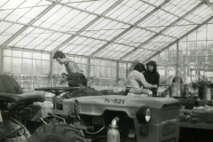 1985-rok-prace-w-szklarni