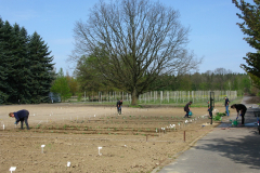 2019-spring-works-in-vegetable-collection