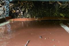 WhatsApp-Image-2025-09-28-at-23.07.58-3