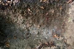 WhatsApp-Image-2025-09-28-at-23.07.58-5