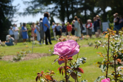 505779961_703001772369319_3607612153659995034_n