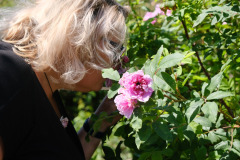 505920533_703002225702607_3200827669900170662_n