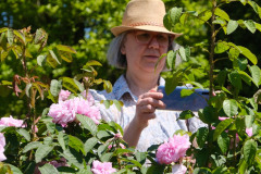 506765642_703002352369261_8155554833611245119_n