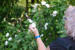 508493143_703002189035944_1575566872150647485_n