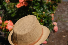 508884849_703002185702611_8675981467706856309_n