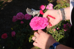 510089153_703001695702660_6175092845325749802_n