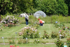 510433678_703002792369217_341380402086344917_n