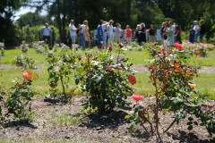 510742475_703002549035908_4450305972772252565_n