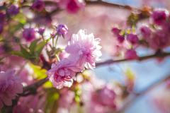 kacper-lepieszka-—-kopia