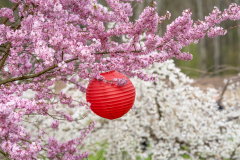 krzysztof_korzeniewski