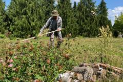 524558650_730418449627651_6701567422929796605_n