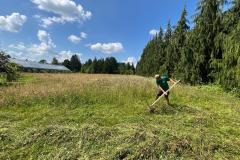 524573063_730417619627734_226820774285367354_n