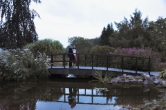 97968D5E-E33C-4721-992A-9AB8CB10A03D_1_201_a