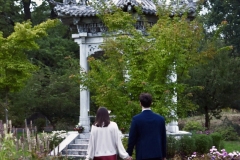 D06A161D-9ACD-4226-8083-96EBE61403F9_1_201_a