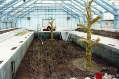 construction-new-glazing-house-1993-year
