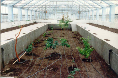 new-glazing-house-1994-year-mediterranean-part