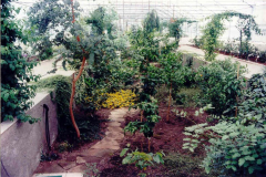 new-greenhouse-mediterranean-part-1995-year