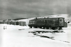greenhouse-at-station-im.-H-Arctowski-in-Antarctica