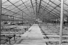 interior-greenhouse-building-in-the-garden-1980-year
