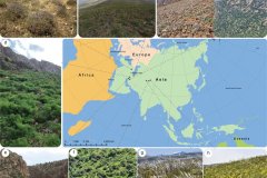 Examples-of-Asian-grassland-types-presented-in-the-Special-Collection-a-Acantholimono