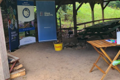 3a1272c2-4247-42a5-8619-434735132585