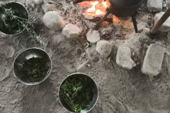 a30f1010-db52-4a4b-8986-4cc39da79a10