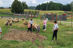 d2fbc76a-3c06-43de-9e82-2fdf605729d2