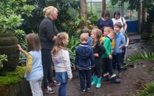 Walks And Field Workshops In The Garden