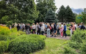 Walks and field workshops in the garden