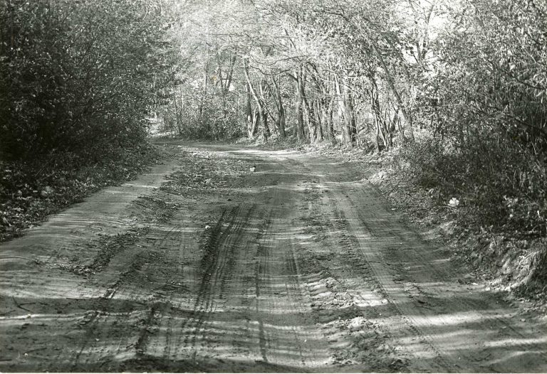 Migawki z&nbsp;50 lat historii Ogrodu Botanicznego – część 1