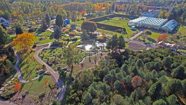 Migawki z&nbsp;50 lat historii Ogrodu Botanicznego – część 2