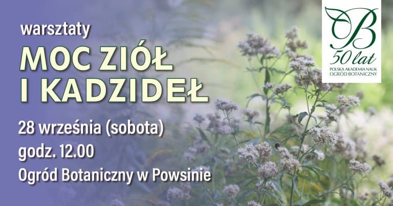 THE POWER OF HERBS AND INCENSE - WORKSHOPS