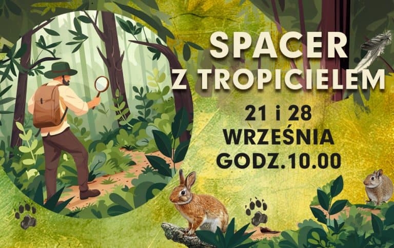 Walk with the Tracker