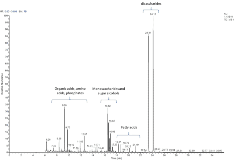 Kolejny krok w&nbsp;poznaniu biologii paproci drzewiastych