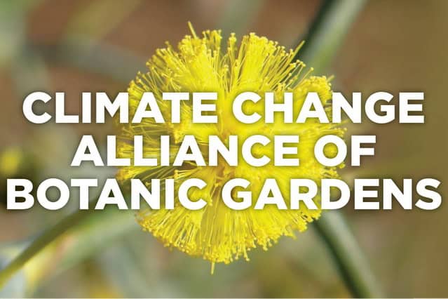 We act for the climate