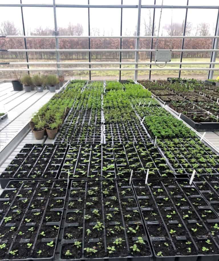 Współpraca z&nbsp;Estonią