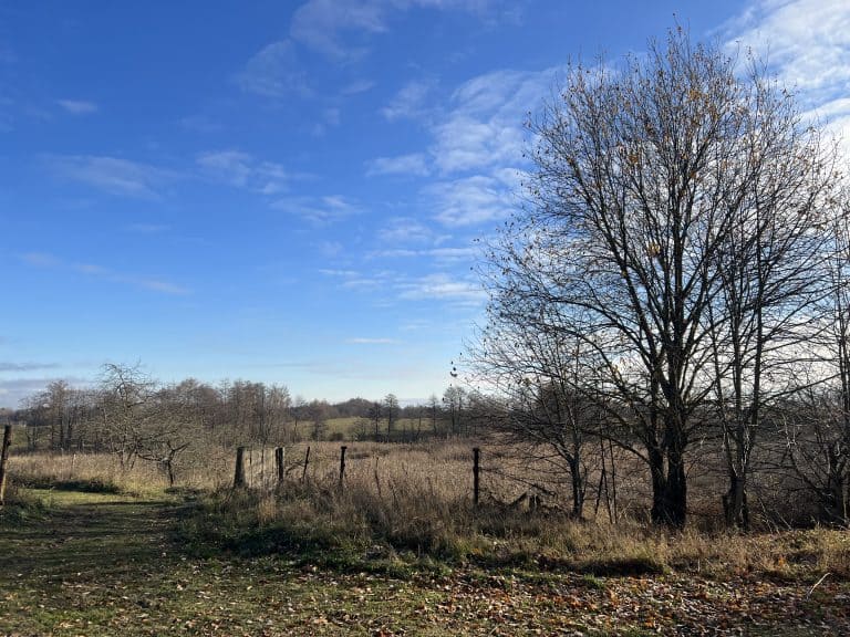 Sympozjum w&nbsp;Stacji Agroekologicznej w&nbsp;Kosewie Górnym